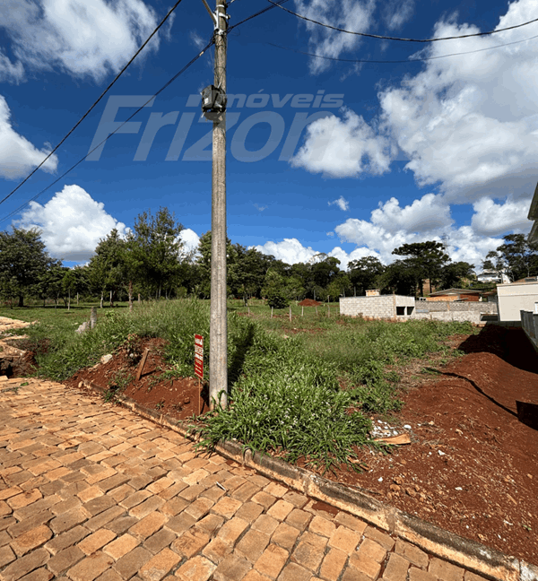 Sem título-111 (Copy)