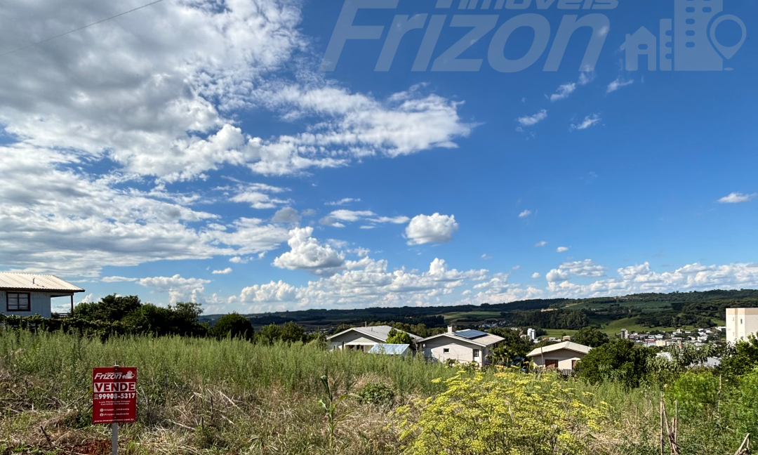 143 - LOTE MARCHEZIN (3)