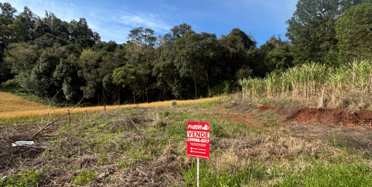 LOTE JERIVÁ (SAÍDA PARA CARMO)